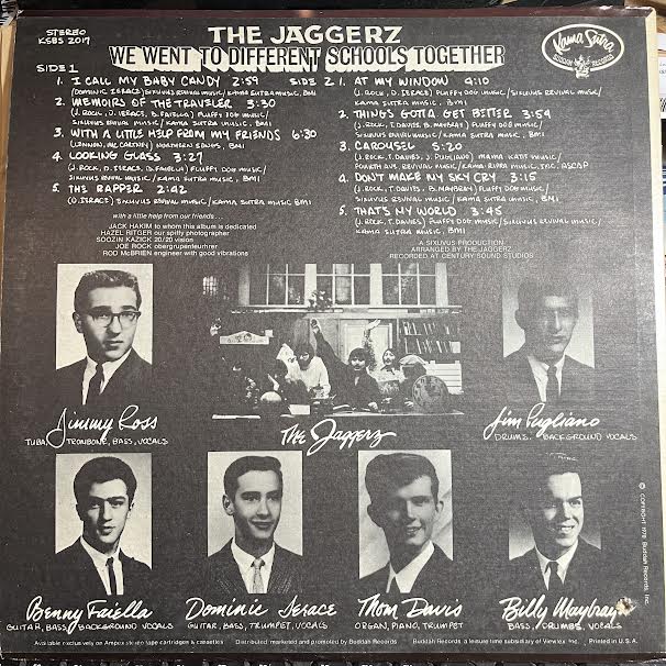 We Went To Different Schools Together (VINYL) | Near Mint (NM or M-) Excellent (EX) - ROCK / USED *NEAR MINT*