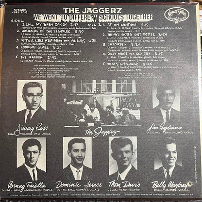 We Went To Different Schools Together (VINYL) | Near Mint (NM or M-) Excellent (EX) - ROCK / USED *NEAR MINT*