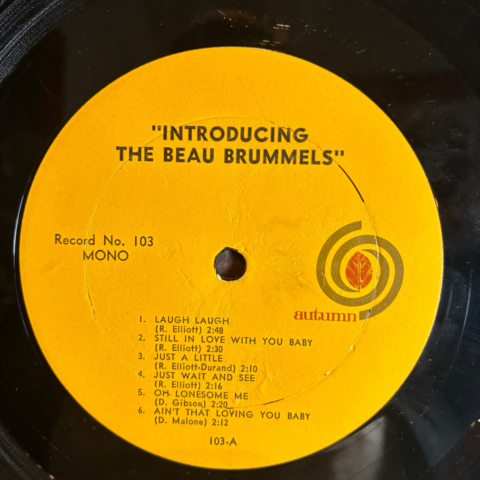 Introducing The Beau Brummels (VINYL) | Very Good Plus (VG+) Very Good Plus (VG+) - ROCK / USED *VERY GOOD+*