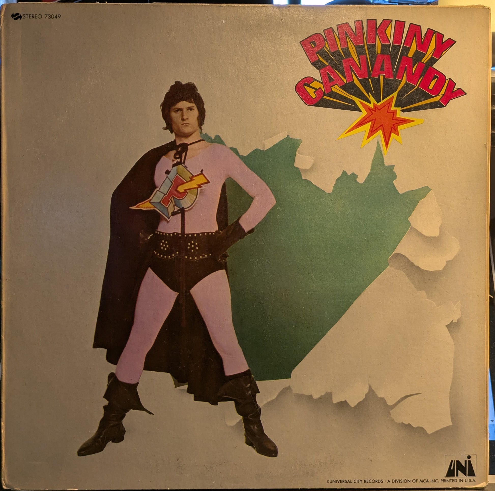 Pinkiny Canandy (VINYL) | Very Good Plus (VG+) Excellent (EX) - ROCK / USED *VERY GOOD+*
