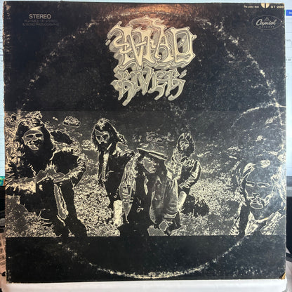Mad River (2) - Mad River (VINYL) | Very Good Plus (VG+) Very Good Plus (VG+) - ROCK / USED *VERY GOOD+*