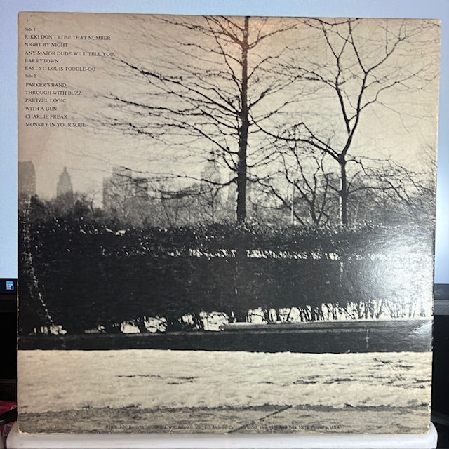 Pretzel Logic (VINYL) | Very Good Plus (VG+) Excellent (EX) - ROCK / USED *VERY GOOD+*