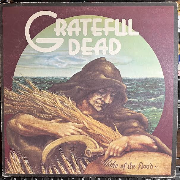 Wake Of The Flood (VINYL) | Very Good Plus (VG+) Very Good Plus (VG+) - ROCK / USED *VERY GOOD+*