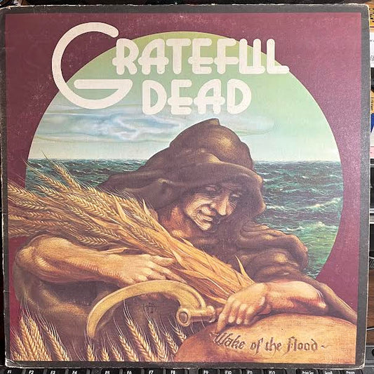 Wake Of The Flood (VINYL) | Very Good Plus (VG+) Very Good Plus (VG+) - ROCK / USED *VERY GOOD+*