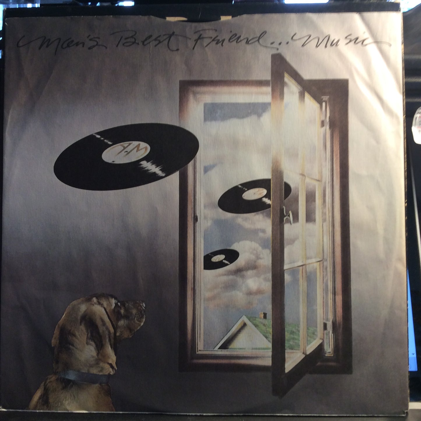Hard Nutz (VINYL) | Very Good Plus (VG+) Very Good Plus (VG+) - ROCK / USED *VERY GOOD+*