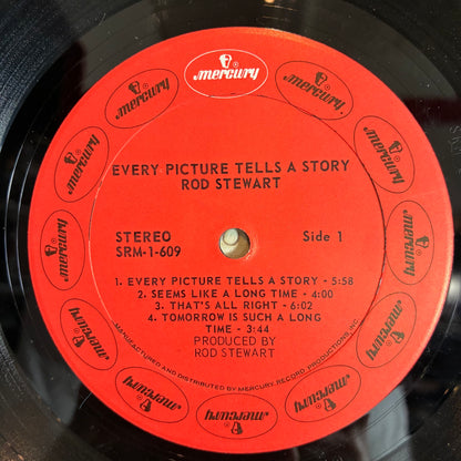 Every Picture Tells A Story (VINYL) | Very Good Plus (VG+) Excellent (EX) - ROCK / USED *VERY GOOD+*