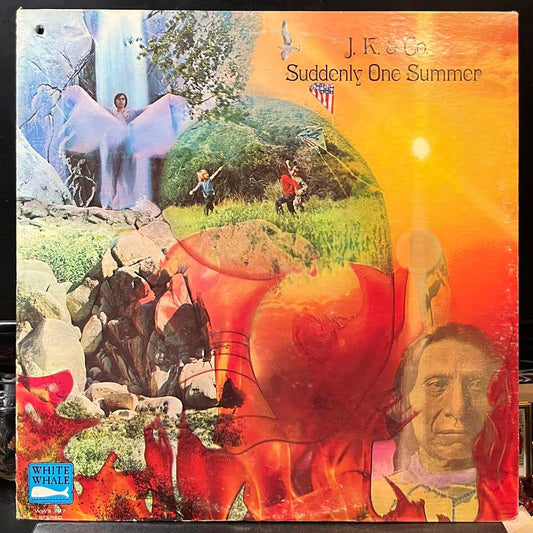 Suddenly One Summer (VINYL) | Very Good (VG) Excellent (EX) - ROCK / USED *VERY GOOD*