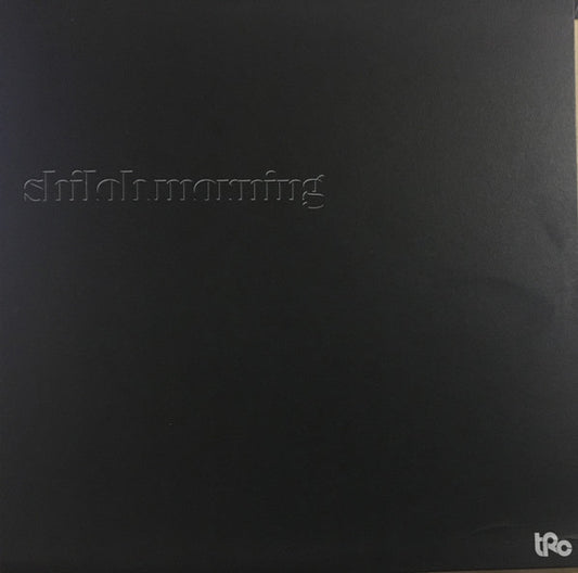 Shiloh Morning - Shiloh Morning | Very Good (VG) Excellent (EX) - ROCK / USED *VERY GOOD*