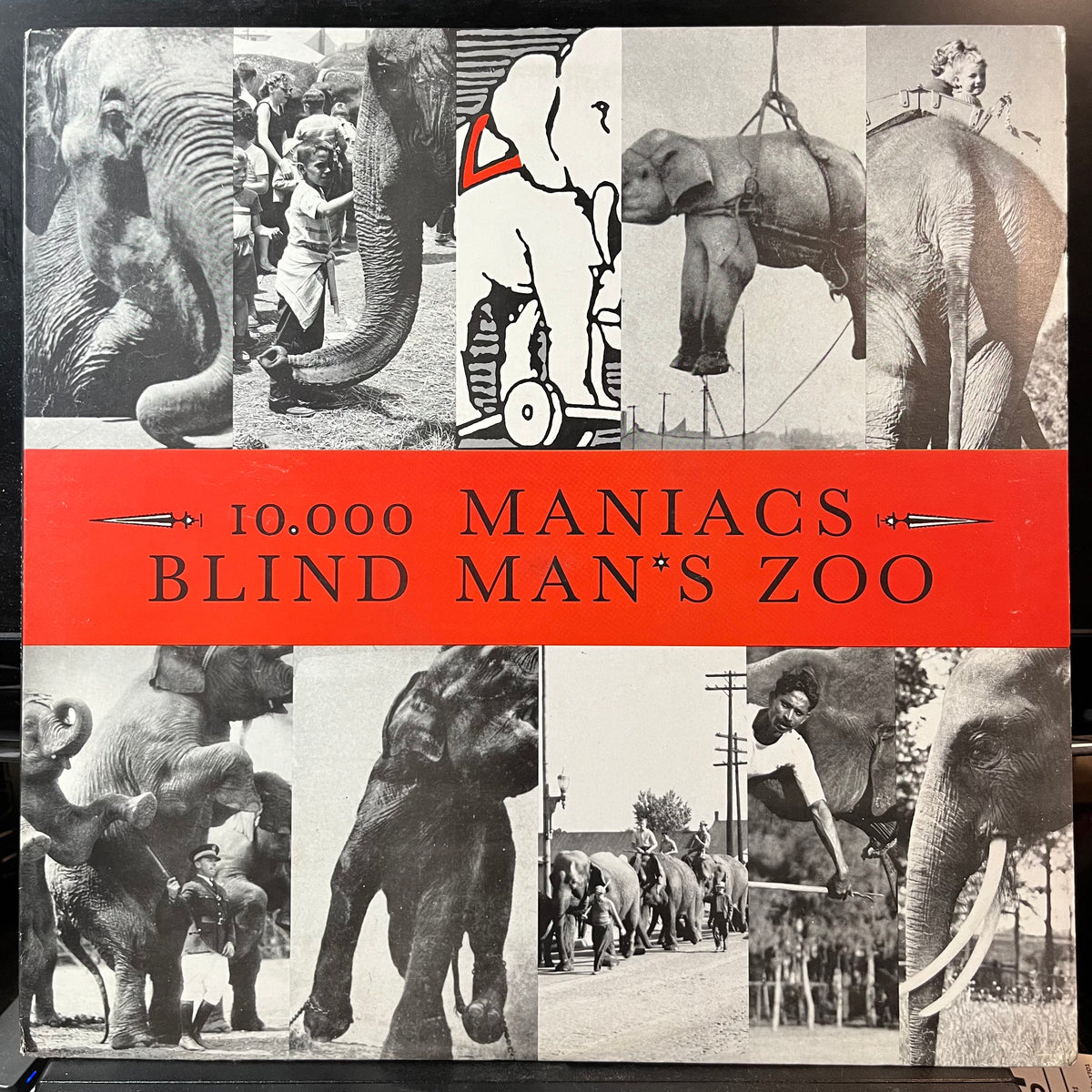 10,000 Maniacs - Blind Man's Zoo (VINYL LP) | USED Near Mint- (NM-) Near Mint- (NM-) ROCK