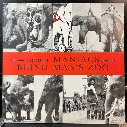 10,000 Maniacs - Blind Man's Zoo (VINYL LP) | USED Near Mint- (NM-) Near Mint- (NM-) ROCK