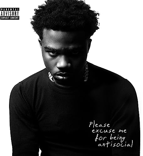 Please Excuse Me For Being Antisocial [Explicit Content] (2 Lp's) | Mint (M) Mint (M) - HIP HOP *SEALED*
