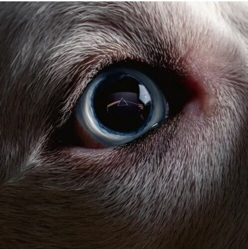 The Dark Side Of The Moon Redux (Digipack Packaging) |