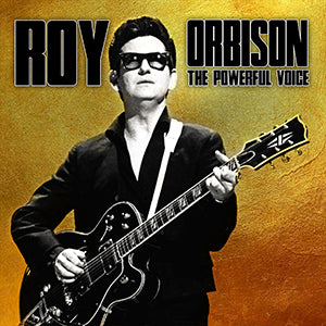 The Powerful Voice [Import] | Mint (M) Mint (M) - ROCK/POP