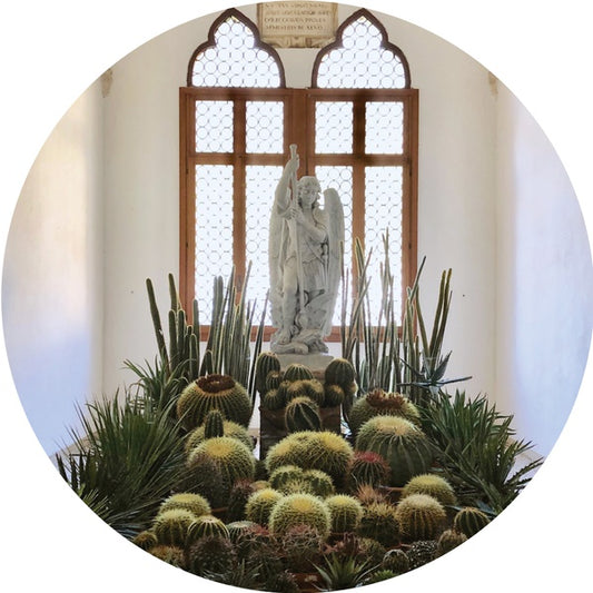 RUBINI - San Pedro |