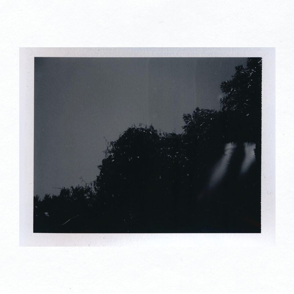 Keeping - Ruin Value (PURPLE TINTED CASSETTE) (Cassette) |
