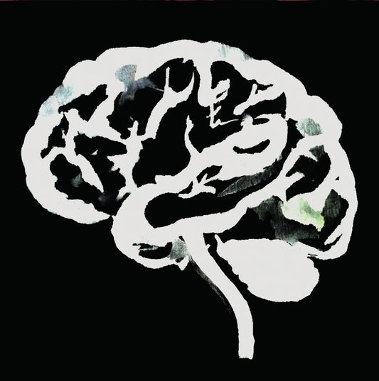 Brain Flakes (The Lost Combo Tapes) |