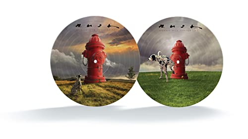 Signals (LTD 40th Anniversary Picture Disc) | Mint (M) Mint (M) - ROCK *NEW/PICTURE DISC*