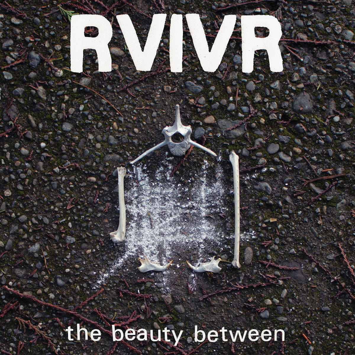 RVIVR - The Beauty Between [Black/Clear Vinyl] |