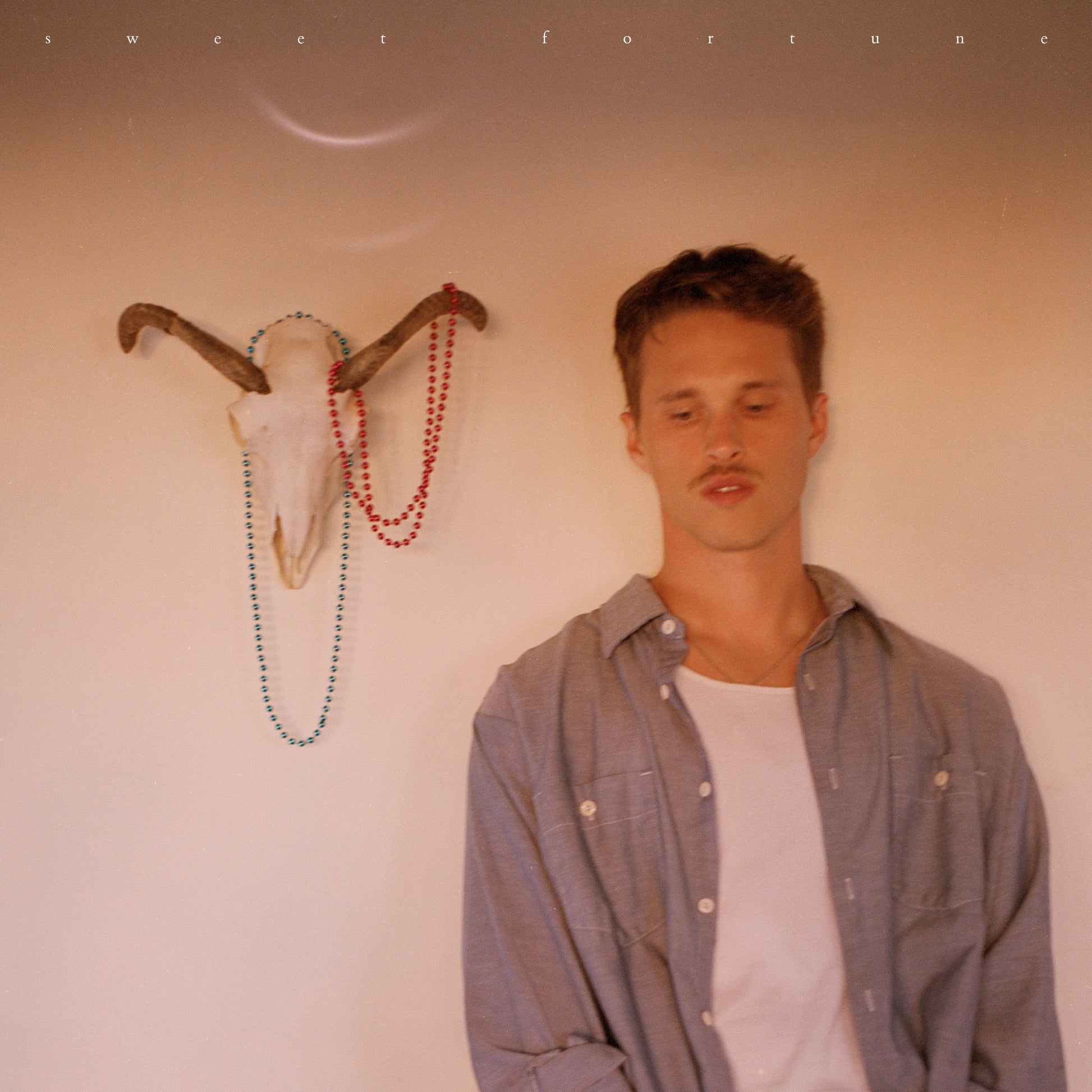 Ryan Beatty - Sweet Fortune (Gatefold, Includes 12X24 Poster) |