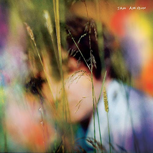Sam Amidon |