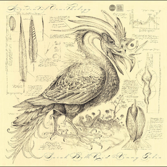 Accidental Ornithology |
