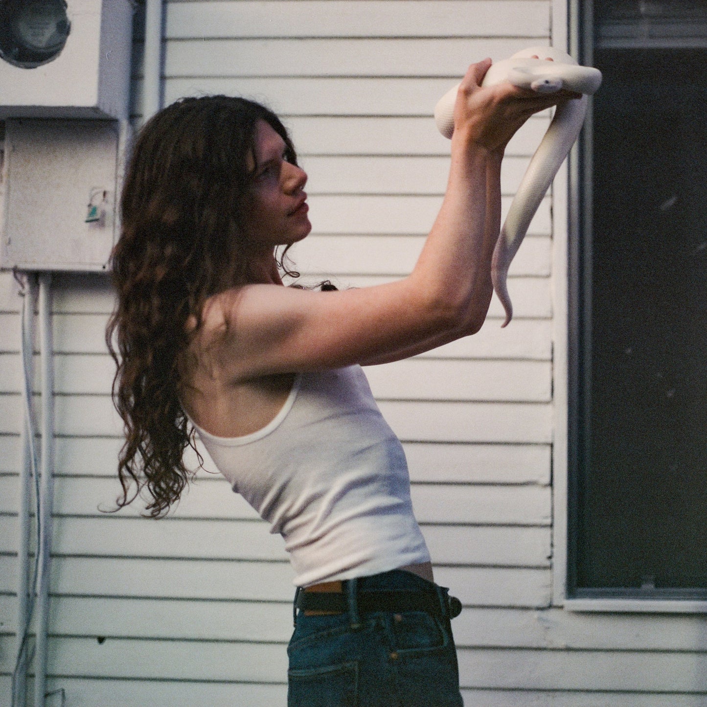 Sawyer Hill - Everybody'S Home, Nobody'S Happy |