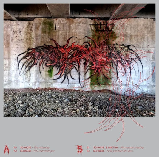 SCHACKE & ANETHA - Looks Are Deceiving |