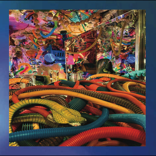 Sea Moss/Miscomings - Big Tube Scene |