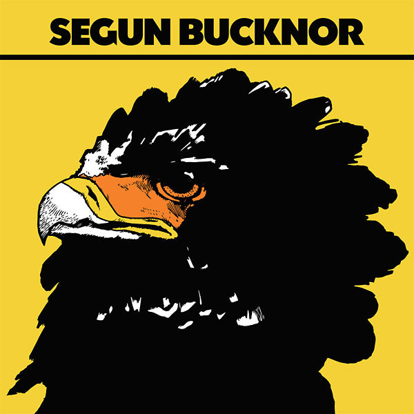Segun Bucknor |