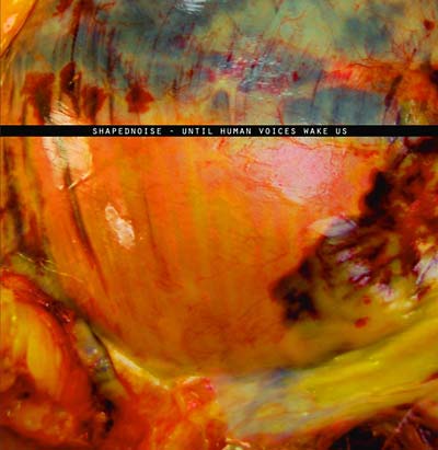 Until Human Voices Wake Us [Import] | Mint (M) Mint (M) - EXPERIMENTAL *NEW*