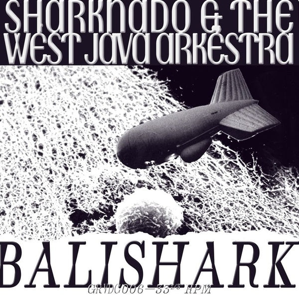 SHARKNADO & THE WEST JAVA ARKESTRA - Balishark |
