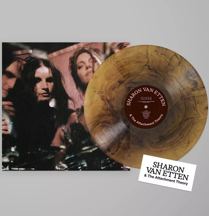Sharon Van Etten & The Attachment Theory [Explicit Content] (Amber Galaxy Colored Vinyl, Indie Exclusive, Sticker) |