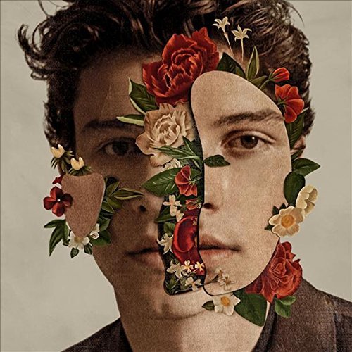 Shawn Mendes (Standard Edition) | Mint (M) Mint (M) - POP *SEALED*