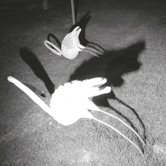 A Mimesis of Nothingness [Import] (WHITE VINYL) | Mint (M) Mint (M) - AMBIENT *NEW/COLOR*
