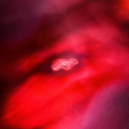 The Faded Orbit | Mint (M) Mint (M) - AMBIENT *SEALED*