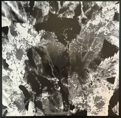 ( ) | Mint (M) Mint (M) - POST ROCK *COLOR*