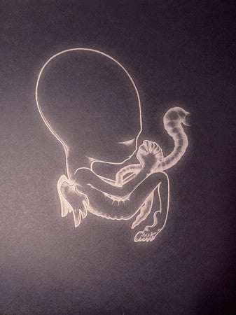 Ágætis Byrjun | Mint (M) Mint (M) - POST ROCK *COLOR*