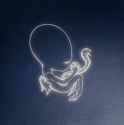 Ágætis Byrjun | Mint (M) Mint (M) - POST ROCK *COLOR*