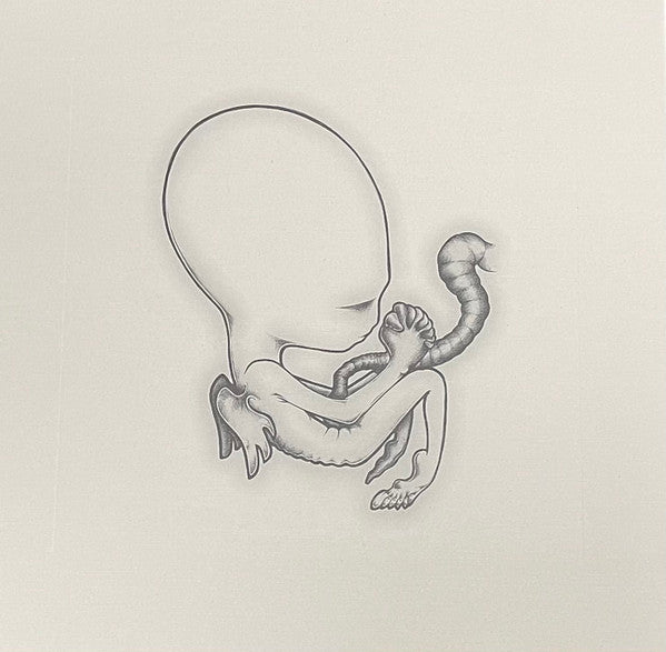 Ágætis Byrjun | Mint (M) Mint (M) - POST ROCK *COLOR*