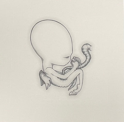Ágætis Byrjun | Mint (M) Mint (M) - POST ROCK *COLOR*