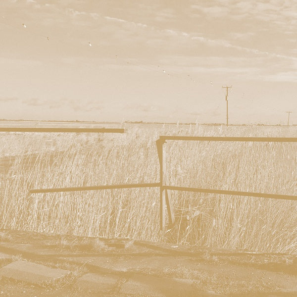 Long Drove |