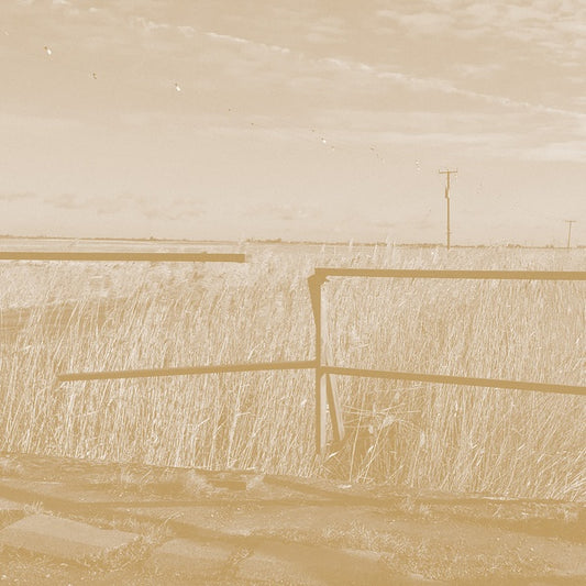 Long Drove |