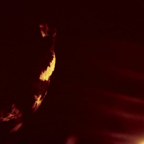 Stormcrowfleet (30Th Anniversary Edition) |