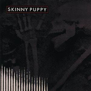 Remission (150 Gram Vinyl) |