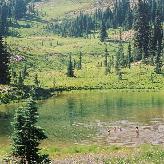 Great Big Wild Oak | Mint (M) Mint (M) - ALT/INDIE *COLOR*