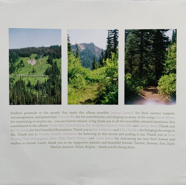 Great Big Wild Oak | Mint (M) Mint (M) - ALT/INDIE *COLOR*