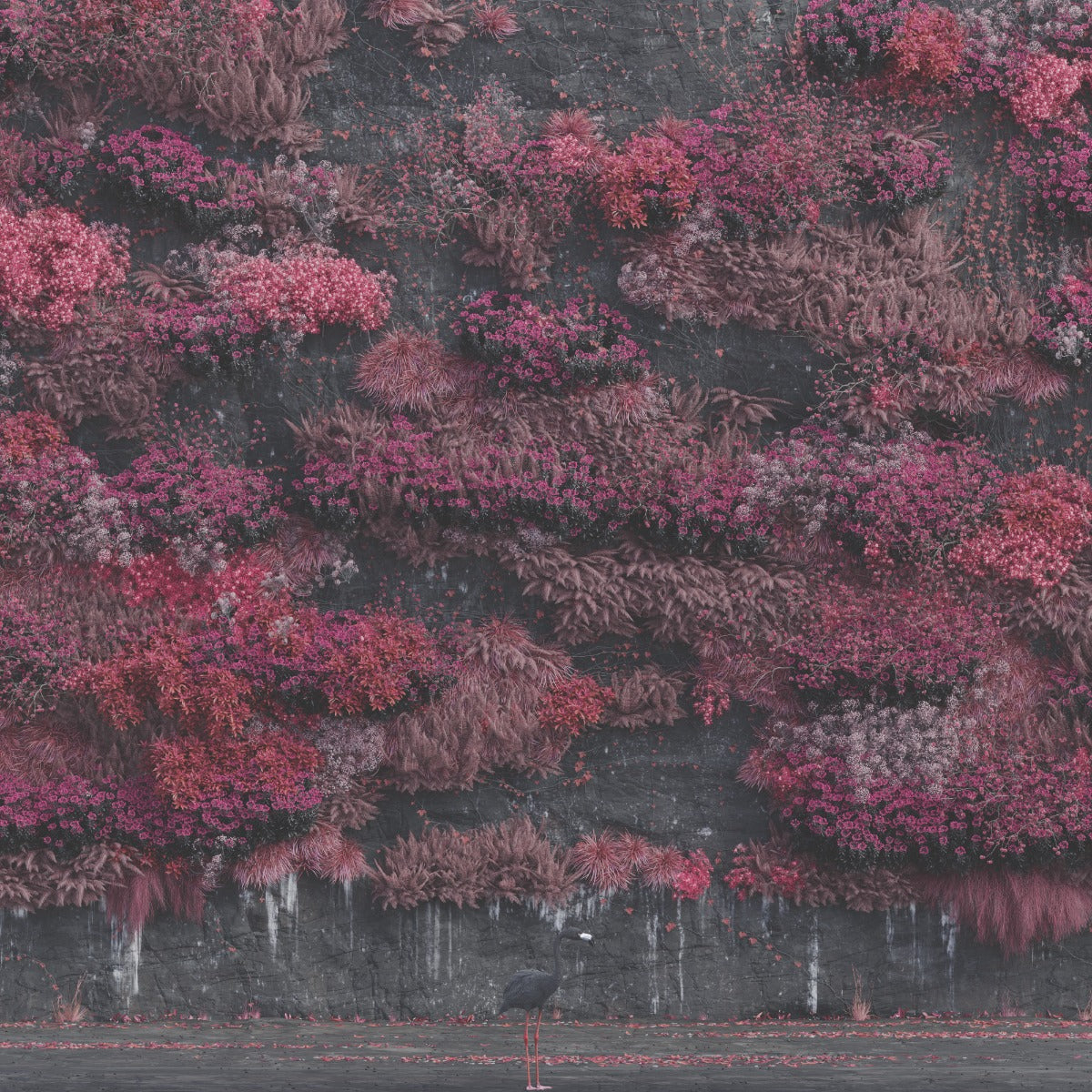 Even In Arcadia (2LP) |