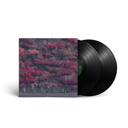 Even In Arcadia (2LP) |
