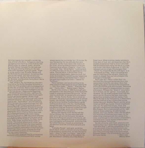 Sly & The Family Stone - Small Talk | Near Mint (NM) Very Good (VG) - FUNK / USED *NEAR MINT*