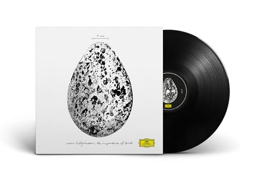 The Importance Of Birds [12" Ep] |